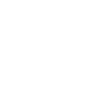 Image module